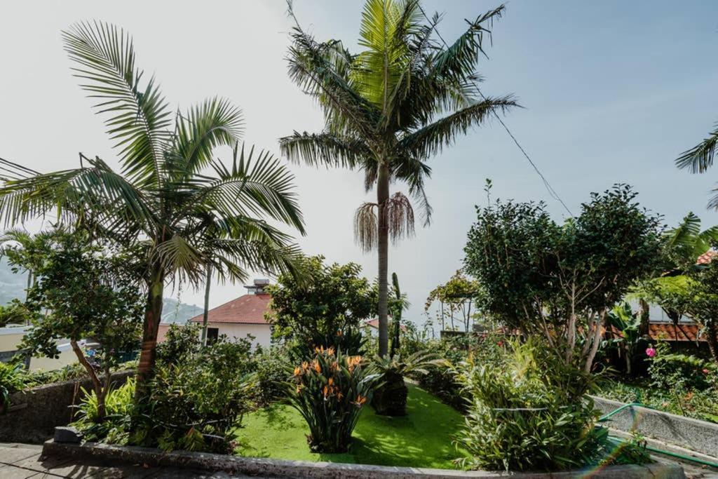 City View Gardens Funchal  Exterior photo