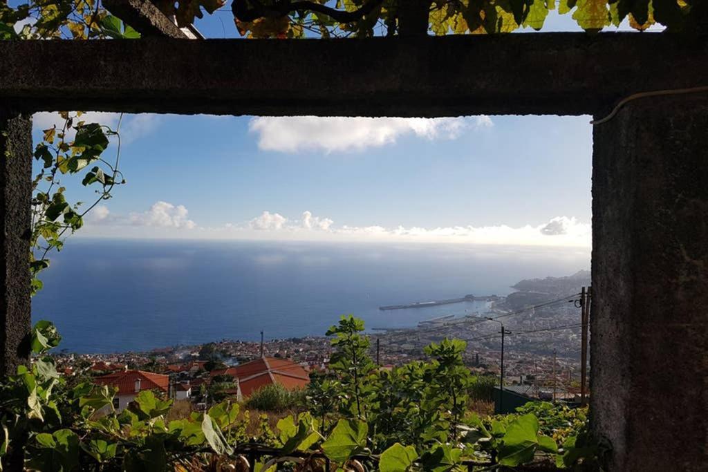 City View Gardens Funchal  Exterior photo